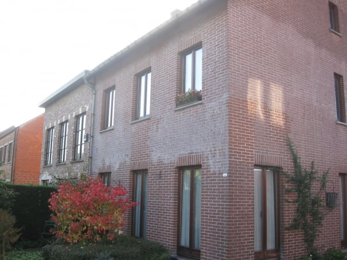 Realisaties chemisch reinigen van gevels