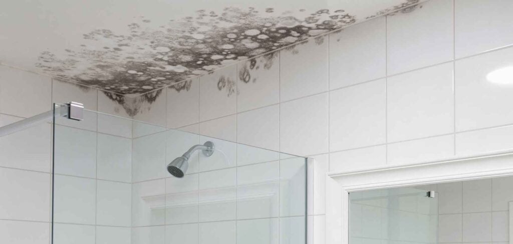 vocht badkamer - schimmel